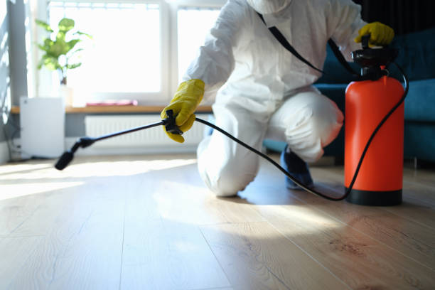 Reliable Hoarding Cleanup contractor in McKittrick, CA by Trauma Clean Pros